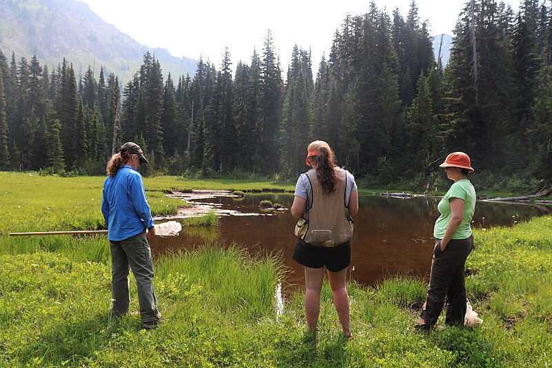 File:Citizen Science Volunteers - 44049015302.jpg