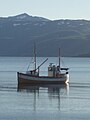 Fiskebåt i Altafjorden