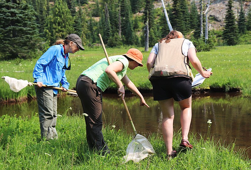 File:Citizen Science Volunteers - 44094809031.jpg