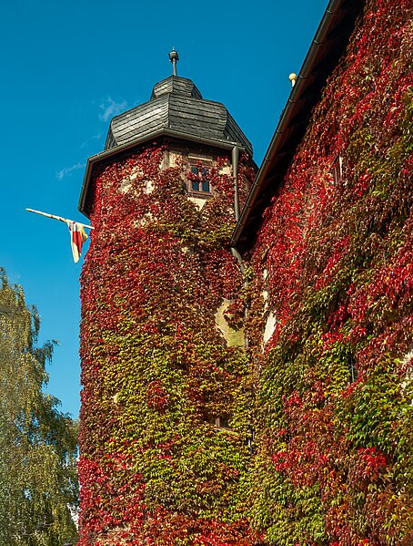 File:Ebelsbach Schloss-20070930-RM-155849.jpg