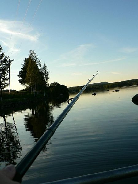 File:Fishing rod at dusk.jpg