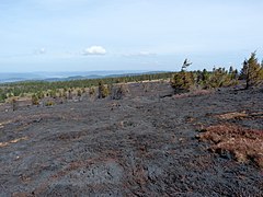 Incendie au gazon du Faing