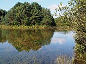 Naturschutzgebiet Kiehnmoor bei Eimke