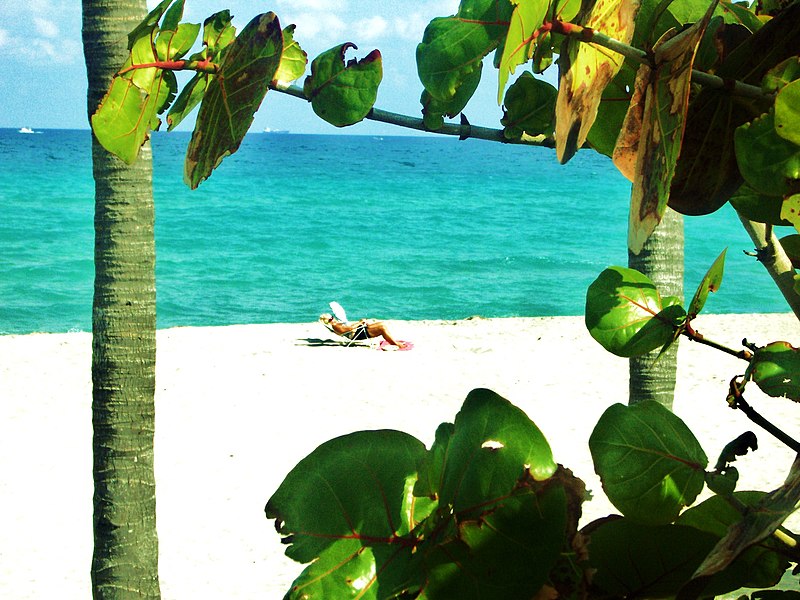 File:Laziness at the beach, and why not^ Paresser sur la plage, et pourquoi pas - panoramio.jpg