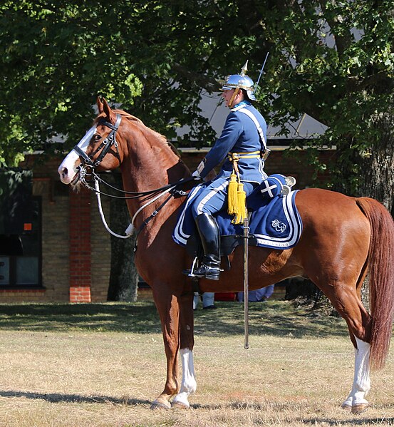 File:Beriden soldat Revinge 2015-4.jpg