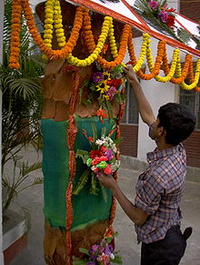 Flowers for a wedding.JPG