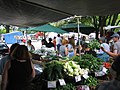 Lane County Farmers Market