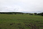 Thumbnail for File:Pasture between Kloster and Grieben on Hiddensee 2021-09-17 16.jpg