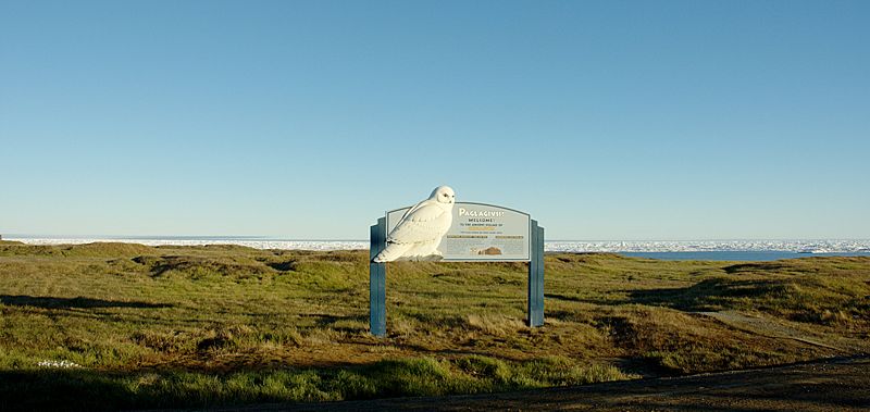 File:Ukpeagvik mounds.jpg