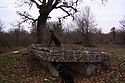 Dolmen Bois de Boeufs