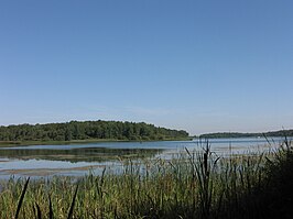 Lac de Madine