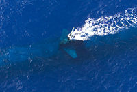 USS Key West at periscope depth, RIMPAC 2004