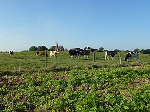 Archeologisch terrein waarin resten van kasteel Persingen