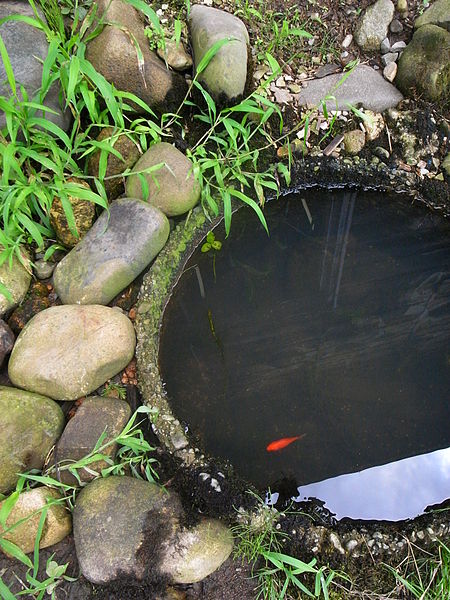 File:Pond -Echigo Tsumari.jpg