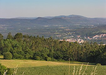 Vista dende as torres de Altamira