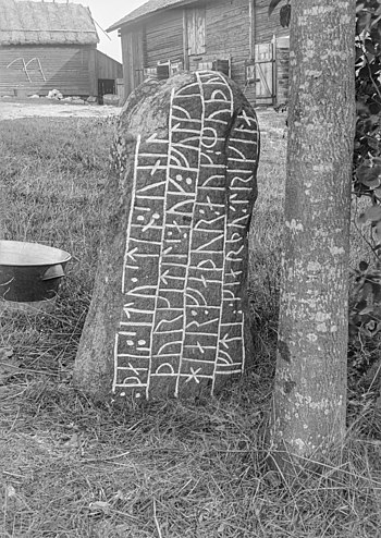 Södermanland Runic Inscription 113