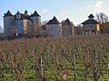 Vue du château Lagrezette.