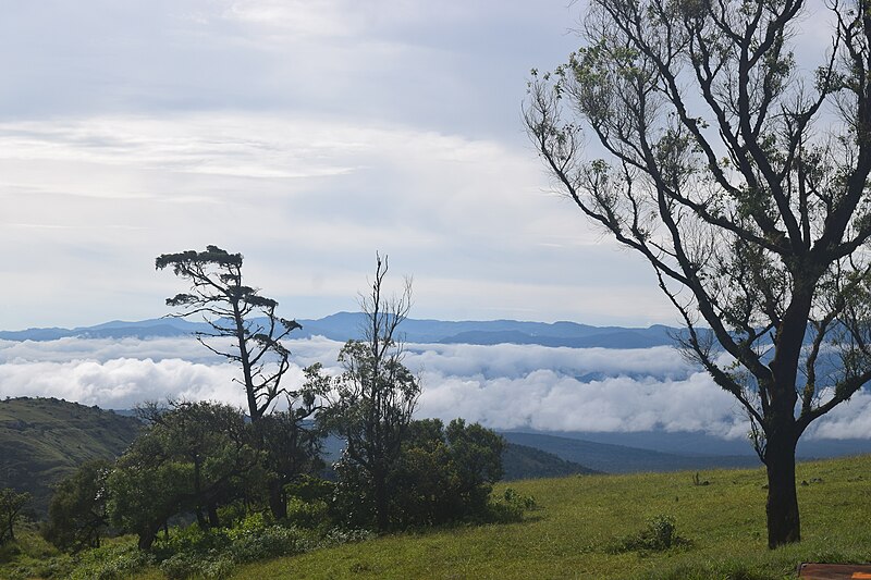 File:Clouds seen from Gopalaswamy hills.jpg