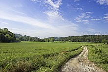 Colline moreniche del Garda.jpg