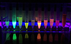 Fluorescent Proteins