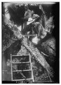 An army engineer uses an oxyacetylene torch to cut up the wreck of the Maine