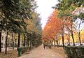 The pedestrian area of Bulevardul Unirii