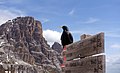 Alpine chough on trail sign.jpg3 445 × 2 082; 1,43 MB