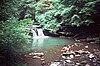 Bathing at the Blue Hole on the Fiery Gizzard Trail