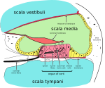 Gambar SVG baru