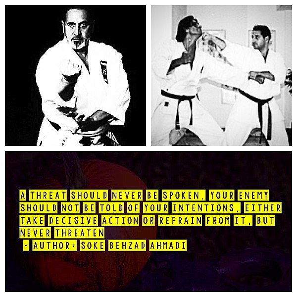 File:KARATE QUOTES.jpg