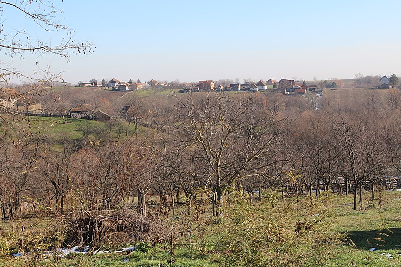 File:Selo Gola Glava - opština Valjevo - zapadna Srbija - panorama 7.jpg