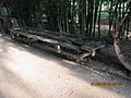 Kereta api Sisal di hacienda Yaxcopoil, Yucatan, Mexico