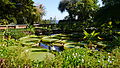 The Victoria amazonica pond in the southernmost point of the garden