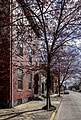 * Nomination: 173 West Louther Street and tree in bud, Carlisle, Pennsylvania --Acroterion 02:14, 28 October 2024 (UTC) * * Review needed