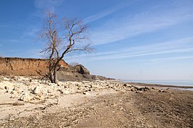 Merzhanovo, Sea of Azov, Taganrog Bay, Russia.jpg