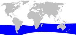 Hector's Beaked Whale range