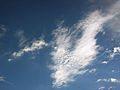 Cirrocumulus stratiformis and Altocumulus