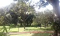 Parque ecológico Paso Coyol.