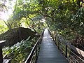 芝山岩步道