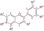 Anthocyanidine