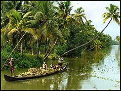 KUTTANAD-PERFECT TOURIST DESTINATION IN KERALA,INDIA.jpg