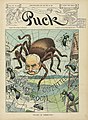 16. A Puck magazin 1906-os címlapja Nelson W. Aldrich befolyásos amerikai szenátor karikatúrájával (javítás)/(csere)