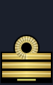 Distintivo per paramano e tubolari dell'uniforme operativa