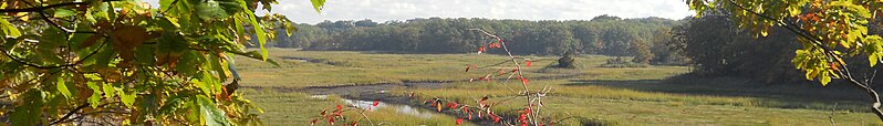 File:WV banner Middlesex county Cheesequake marsh.jpg