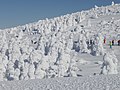 山形県蔵王連峰