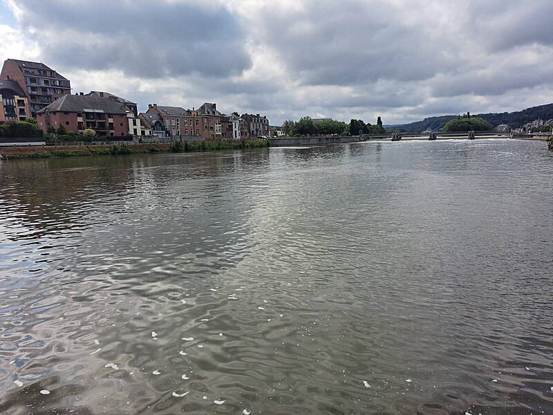 File:20240717.Namur.Meuse Ardennes.-023.jpg