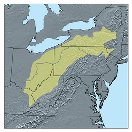 Mapa de la meseta de Allegheny: la línea gris divide la parte que fue cubierta por los glaciares (N) de la parte no glacial (S) de la meseta.