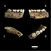 (A,B,C,D) Một mẫu hàm dưới nhìn từ nhiều phía