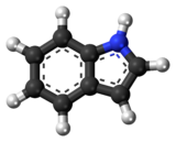 Molecuulmodel van indool