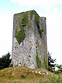 Casa torre en Quin (condáu de Clare, Irlanda)